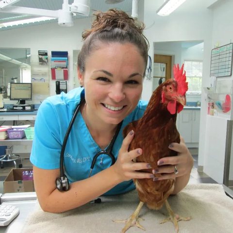 Dr. Lindsay Miller